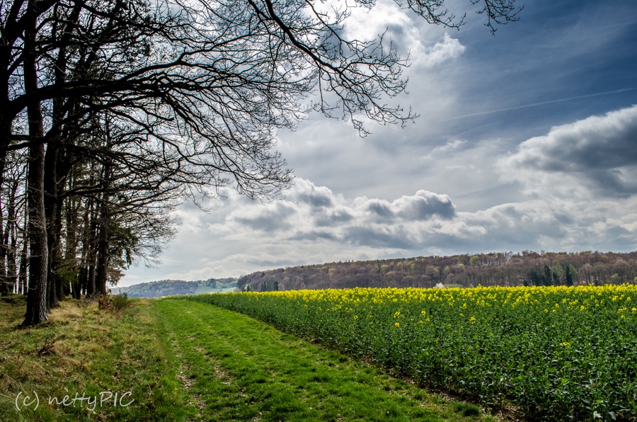 Fühlingslandschaft