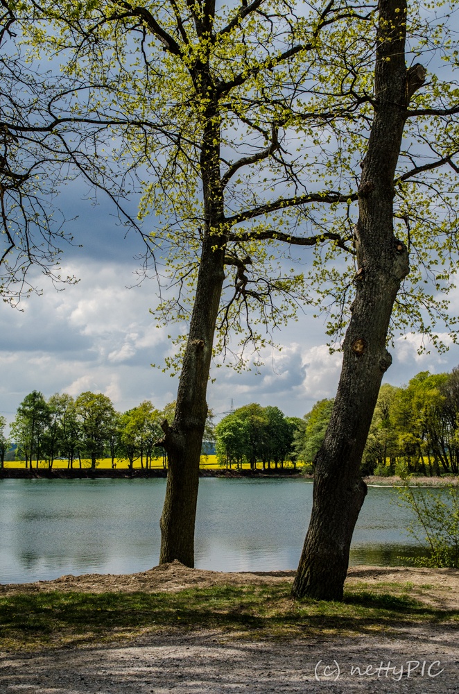 Fühlingslandschaft