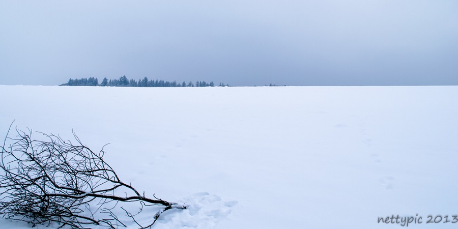 Schneelandschaft