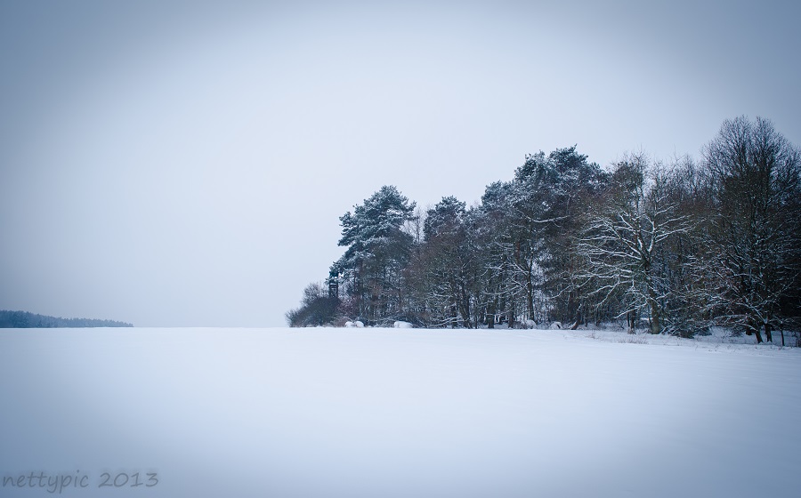 Schneelandschaft